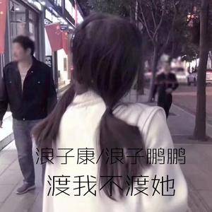 吴静-女儿情（咚鼓版）（浪子康 / 浪子鹏鹏 remix）